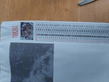 Evershine Diamond Painting-Animals Cross-Stitch Home-Decoration Mosaic Square with Embroidery