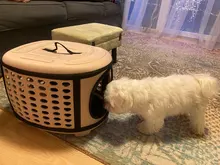 Carrier Bag Portable Handbag Shoulder-Bags Puppy Pet-Dog Dogs Cat Travel Small Outdoor