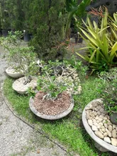 LA-Máquina arcade Pandora Box DX 2992 juegos en 1, recreativa equipada con una placa JAMMA, posee opción para guardar el progreso del juego, multijuegos, PCB