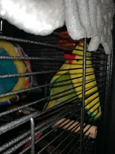 Parrot Hammock Plush Bird Nest Pet Triangle Warm Hanging Bed Cage Cave Hut Tent N1HA