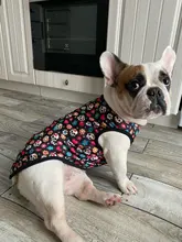 Chaleco para perros, ropa de dibujos animados, chaleco con Calavera, camiseta para perros y gatos, cachorro suave, ropa para perros, camiseta chaleco 2XS-5XL 25Q