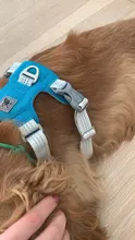 Arnés para perros reflectante ajustable, chaleco de pecho para perros pequeños, medianos y grandes, arnés protector de adiestramiento al aire libre para perros