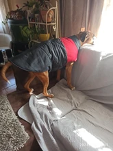 Jacket Puppy-Clothing Dog-Coat Dogs Golden-Retriever Waterproof Winter Pet-Vest Small