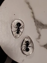 Espécimen acrílico de Ant HD, accesorios de decoración de nido de hormiga, regalo de recuerdo único