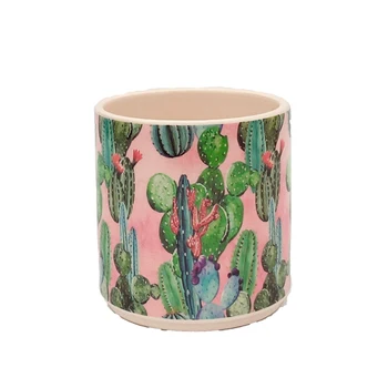 Cicek Desenli Pembe Renk Seramik Saksı
Cicek Desenli Pembe Renk Seramik Saksı