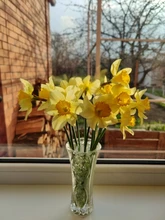 COBRAFLY-reloj inteligente GT20 para Android iOS, dispositivo completamente táctil con control del ritmo cardíaco, llamadas, Bluetooth, 1,69 pulgadas, PK Y20 P8 P8plus