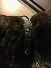 Pet-Id-Tags Collar Free-Engraved Customized Genuine-Leather Puppy-Nameplate Dog Adjustable