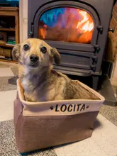 Bins Storage-Box Canvas-Bag Pet-Toys Dog-Accessories Foldable Personalized Linen