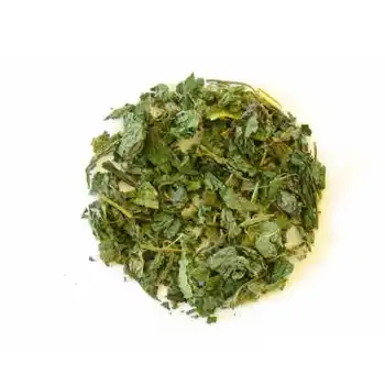 White nettle
White nettle