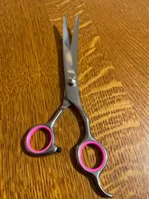 Scissors Pet-Supplies Dog Stainless-Steel Portable Cat And