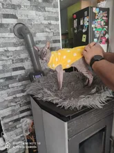 Ropa de Gato caliente para mascotas pequeñas, disfraces de gatos de dibujos animados, lana suave, abrigo de gatito, chaqueta, Otoño e Invierno