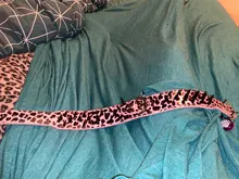 Dog-Collar Studded Spikes Pitbull Large Dog High-Quality Mastiff Big with Black Sharp