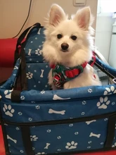 Portador de Mascota para coche, bolsa de viaje para asiento de perro y gato, impermeable, plegable, bolso para cachorro, alfombrilla, cubierta, canasta de Seguridad, 1 Uds.