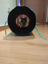 Juguete de túnel para mascotas, tubos de juego con 2 agujeros, bolas plegables, antiarrugas, para cachorros, hurones y conejos