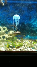 Ornament Jellyfish Aquarium-Decoration Fish-Tank Aquatic-Landscape Underwater-Live-Plant