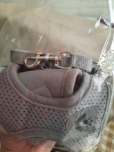 Dog Cat Harness Reflective Vest Pet Chest Strap Mesh Breathable Dog Harness And Walking