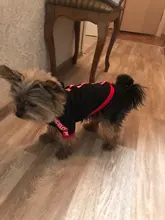 Puppy-Outfit Dogs-Clothing Chihuahua Dog Hoodie Pets Spring Small Fashion Medium