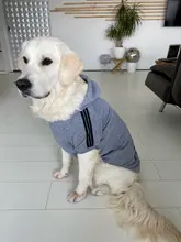 Perro ropa para mascotas Casual con capucha abrigo otoño perros grandes abrigo chaqueta ropa Labrador traje de impresión en Color de gran tamaño