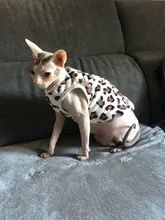 Chaleco de terciopelo para perros pequeños, ropa de invierno para mascotas, camiseta de yorkshire terrier de leopardo, chihuahua
