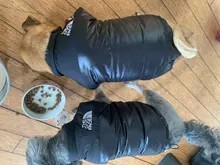 Dog Coat Jacket Pet-Dog-Clothes Down French-Bulldog Chihuahua Winter Fashion Small Medium-Sized