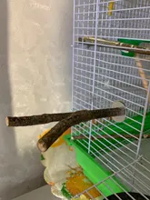 Pet Parrot Raw Wood Fork Stand Rack Toy 1Pcs 15cm Branch Perches For Bird Hamster Cage