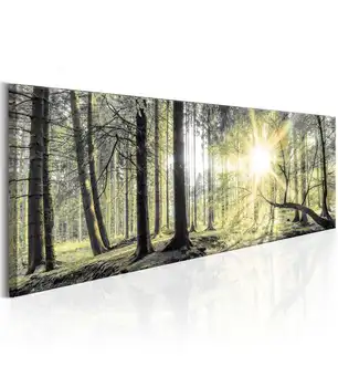 Picture-Morning Forest
Picture-Morning Forest