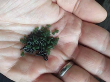 Fishing-Hook Screws Bait Boilie Boilies-Stopper-20pcs 40pcs Beads Threaded