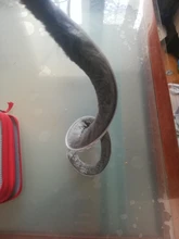 Brush-Strip Gasket Sealing Sound-Insulation-Strip Door Window Self-Adhesive Wind-Proof