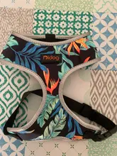 Arnés para perro o gato de nailon, arnés para perro o gato impreso, arneses para perros pequeños, chaleco para caminar para mascotas, correa para gatos, Bulldog Francés, Chihuahua, Yorkshire