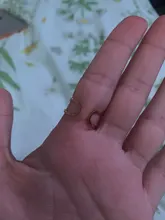 Anillo de oro euroamericano para mujer, anillos de acero inoxidable, anillos abiertos para mujer, joyería de cadena de acero inoxidable