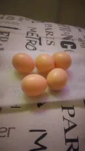 Juego educativo para incubar huevos de gallina, simulación de cría de huevos artificiales de plástico, pintura artesanal, huevo de Pascua, 5 uds.