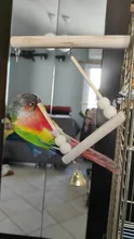 Columpio para aves de juguete soporte de percha de madera con cuentas para masticar, soporte para dormir, juguetes para pájaros periquitos C42