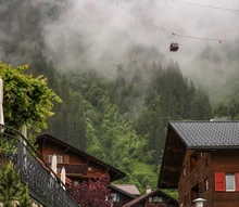 Filtro de lanza de espuma de acero inoxidable, lavado de coche de espuma de cartucho de filtro de alta presión, lanza de malla para pistola generadora de espuma