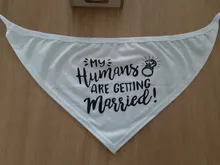 Bandana de boda para perro con mensaje de My Humans are casting, She Said Yes, bufanda babero triangular para mascota, pañuelo, anuncio de compromiso