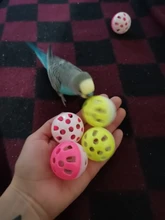 Pet Parrot Toy Bird Hollow Bell Ball For Parakeet Cockatiel Chew Fun Cage Toys 23
