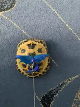 Conjunto de Correa y arnés de Animal PEQUEÑO, correa de tracción para patinaje de tortuga, alas multiusos, arnés para mascotas con correa para tortuga