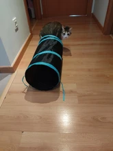 Juguete de túnel para mascotas, tubos de juego con 2 agujeros, bolas plegables, antiarrugas, para cachorros, hurones y conejos