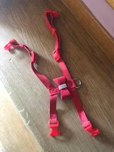 Correa de pecho Multicolor con hebilla de perforación caliente arco brillante perro mascota gato arnés de cuero de alta calidad Collar de Mascota