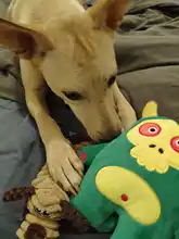 Dog-Toys Interactive Dogs-Resistant Plush-Squeaky Aggressive Chewers Pet-Supplies Stuffed