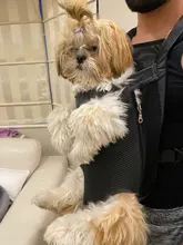 Dog Outdoor Carrier Tote-Bag Sling-Holder Puppy Dog-Front-Chest-Backpack Cat Mesh