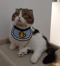 Accesorios para Mascotas, Baberos con lazo para gatos, Bandana para Perros, Accesorios para Perros, bufanda, productos para Mascotas