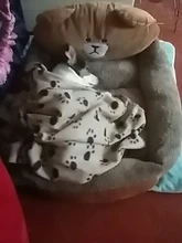 House Dogs-Blanket Dog-Bed Small Removable-Cover Pet Warming Soft Winter Cartoon