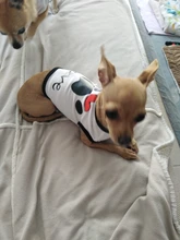 Chaleco con diseño de amor para perro, camiseta suave con estampado de pata de perro, accesorios para cachorro, ropa para mascotas