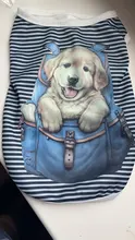 Chaleco con estampado de dibujos animados Para perros, Ropa Para mascotas, Ropa Para perros pequeños, de primavera y verano, transpirable, color blanco