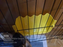 Alimentador de mascotas, tazones de alimentación de heno, perchero para Conejo, conejillo de indias, Chinchilla