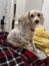 Mono de lana suave para perro, ropa de invierno para perros, pijamas para perros pequeños, trajes para mascotas, ropa con capucha para perros