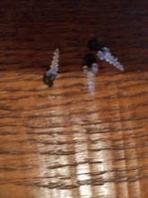 Fishing-Accessories Hook Stop-Screw Chod Boilies Ronnie-Rig Carp with Pop-Up 20PCS Used