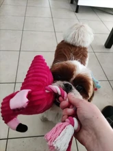 Limpieza de dientes juguete interactivo de dibujos animados Animal Flamingo de algodón en forma de perro de juguete de cuerda productos para entrenamiento de mascotas juguetes masticables para mascotas 1 Uds