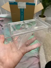 Caja de aislamiento de cría de pecera de acrílico transparente, soporte para incubadora de acuario