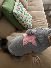 Sweater Puppy-Dog French Bulldog PETCIRCLE Teddy Chihuahau Winter Autumn Starfish Nordic